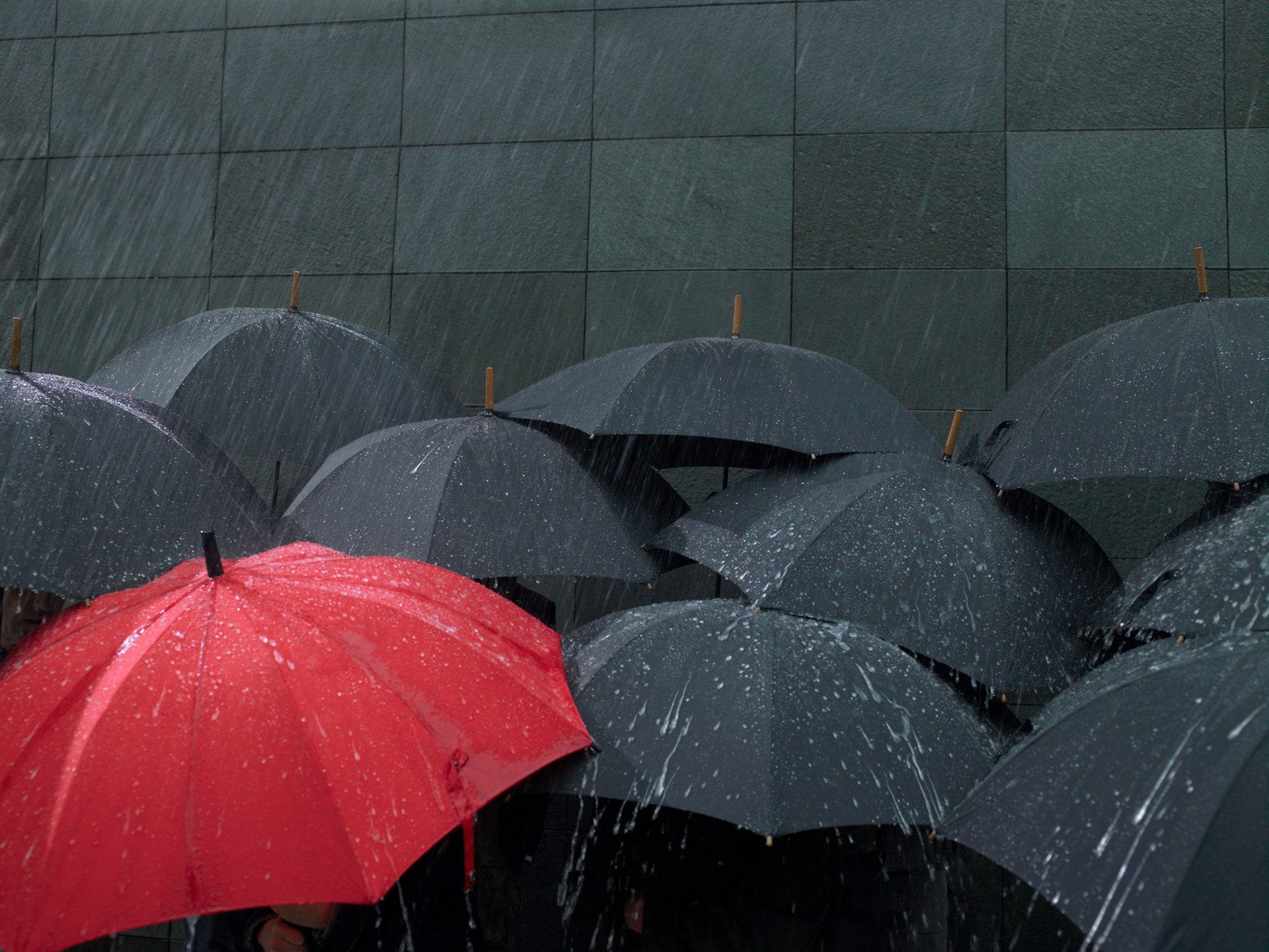Commercial Umbrella Policy