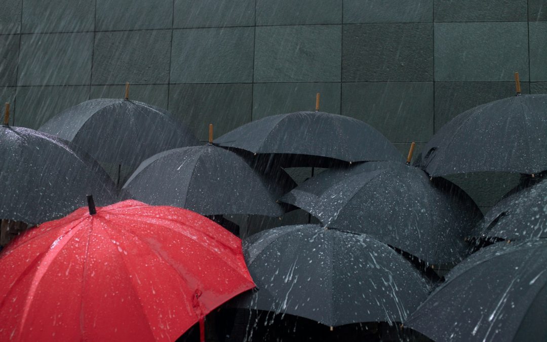 Enhancing Business Protection with a Commercial Umbrella Policy